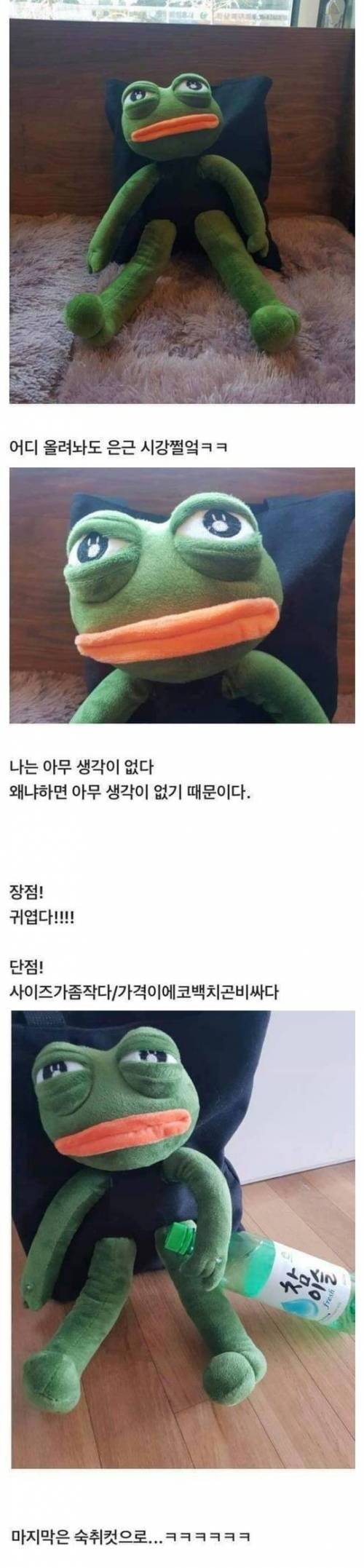 [스압] 에코백 후기.jpg