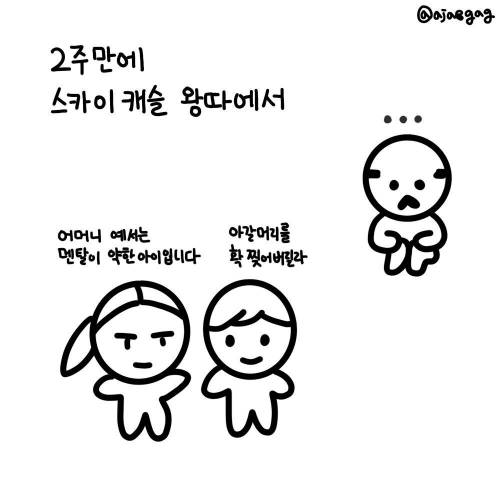 2주만에 왕따 당함.jpg