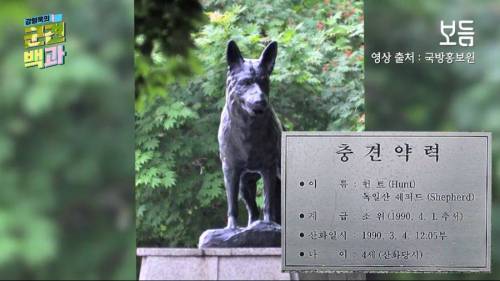 군견에 대한 진실.jpg