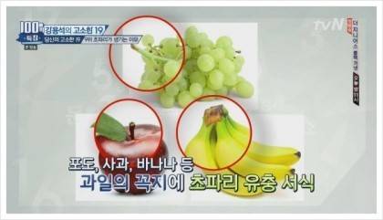초파리가 저절로 생기는 이유