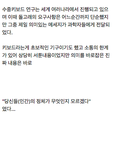 돌고래가 인간에게 전한 메세지.jpg