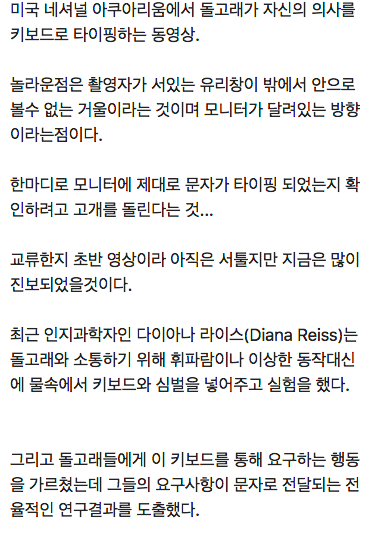 돌고래가 인간에게 전한 메세지.jpg