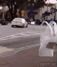 투명인간 코스프레.gif