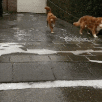 빙판길 과속 주의.gif