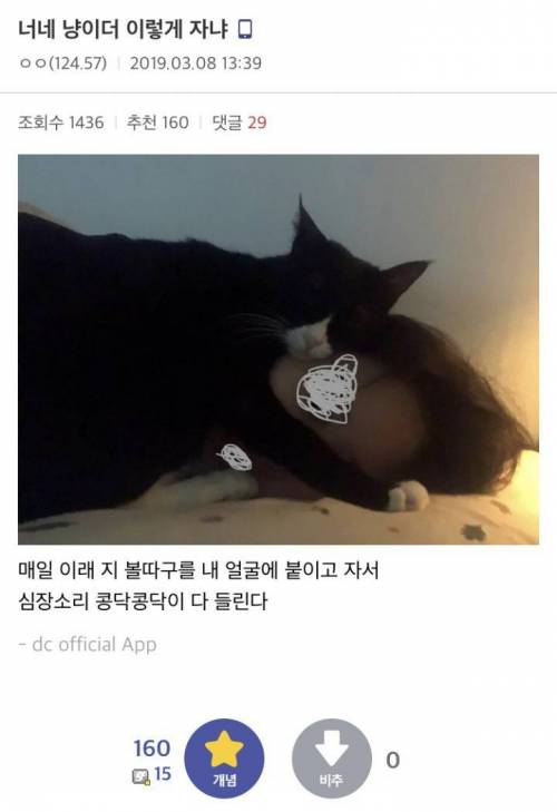 너네 냥이도 이렇게 자냐?.jpg