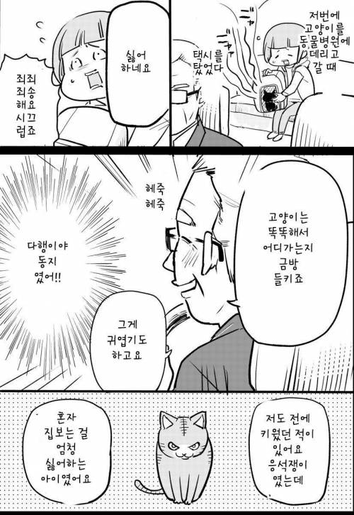 고양이 데리고 택시 탄 만화