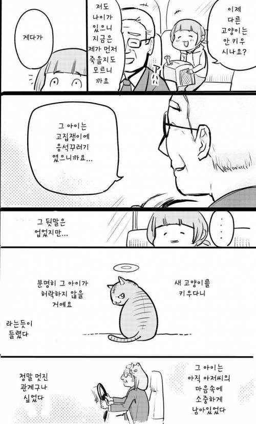 고양이 데리고 택시 탄 만화