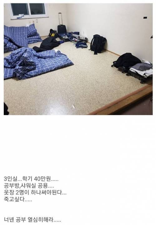 어느 대학 기숙사.jpg