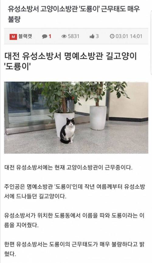 근무태도가 매우 불량한 소방관.jpg