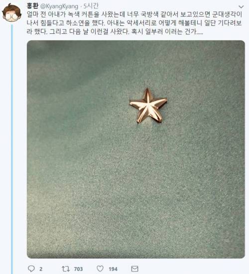 아내가 사온 녹색커튼