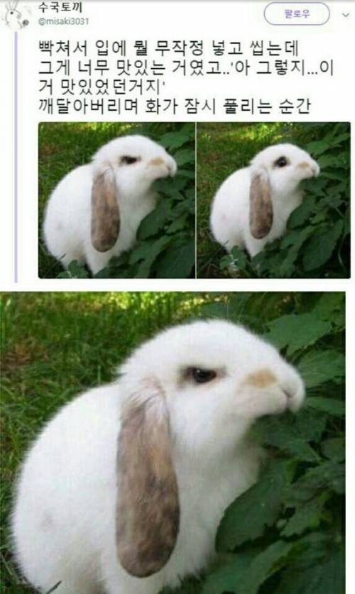 빡쳐서 한입 물었는데.jpg