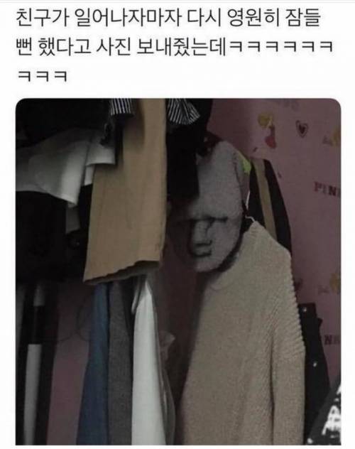 영원히 잠들뻔했던 친구.jpg