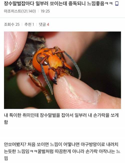 장수말벌로 만독불침 수행하는 디씨인.jpg