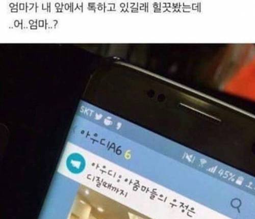 엄마.. 아우디가 뭐야?.jpg