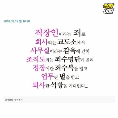 싸이월드 시대에 회사에 다녔다면 .jpg