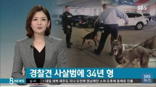 미국에서 경찰견을 죽이면.jpg