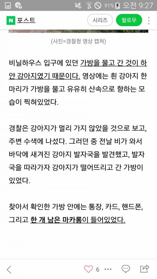 수천만원이 든 가방을 훔쳐간 도둑.jpg
