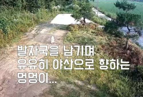 수천만원이 든 가방을 훔쳐간 도둑.jpg