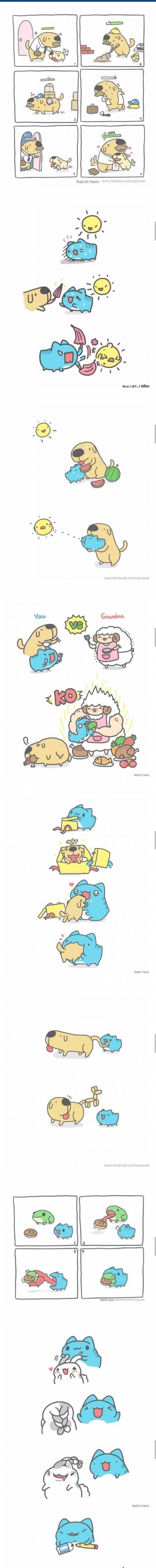 [스압] 기여운 댕댕이 냥냥이 만화.jpg
