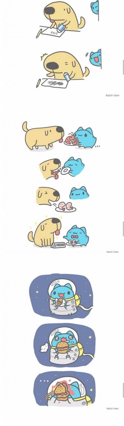 [스압] 기여운 댕댕이 냥냥이 만화.jpg