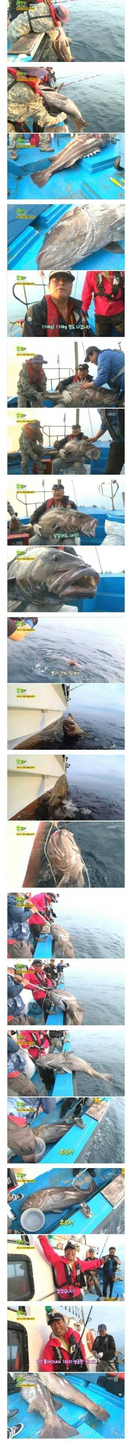 [스압] 생생정보 레전드.jpg