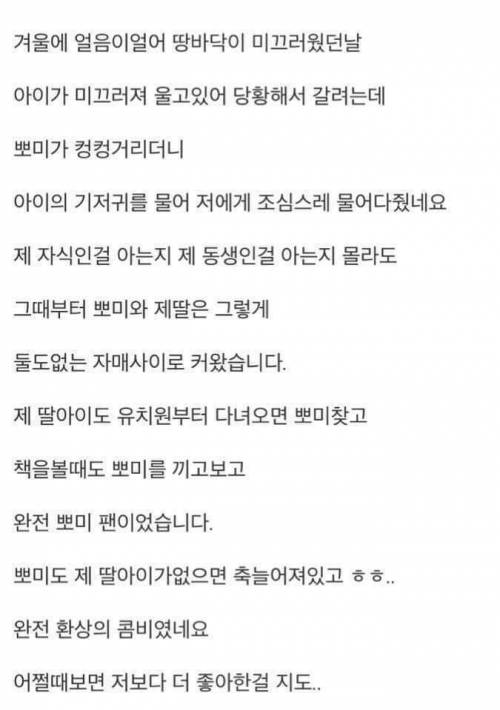 18년키운 강아지가 죽었는데