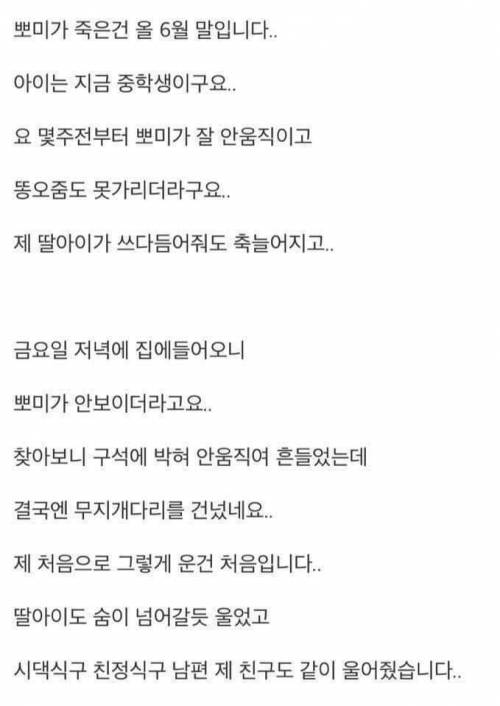 18년키운 강아지가 죽었는데