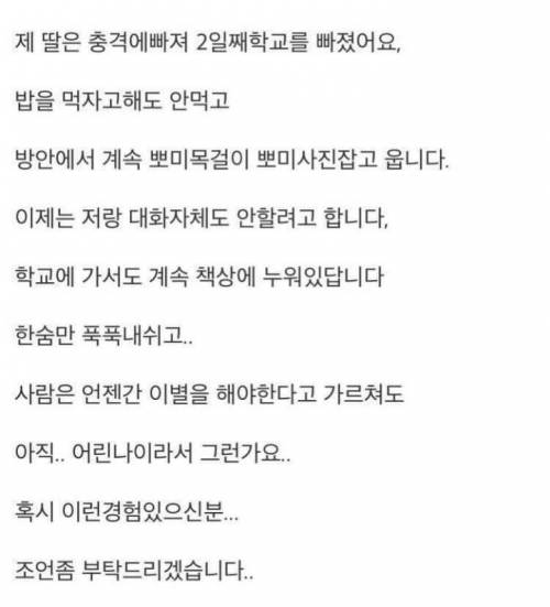 18년키운 강아지가 죽었는데