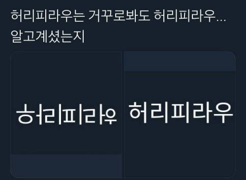 신기한 허리피라우.jpg