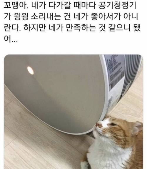 공기청정기의 또다른 효과.jpg