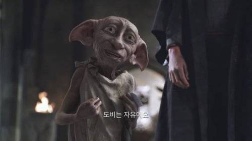 조보아는 이제 자유에요.jpg