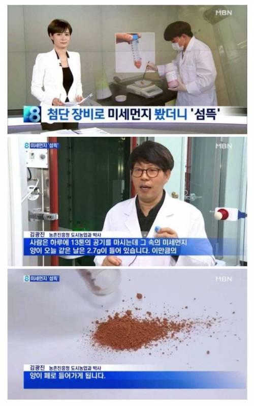 미세먼지가 위험한 이유.jpg