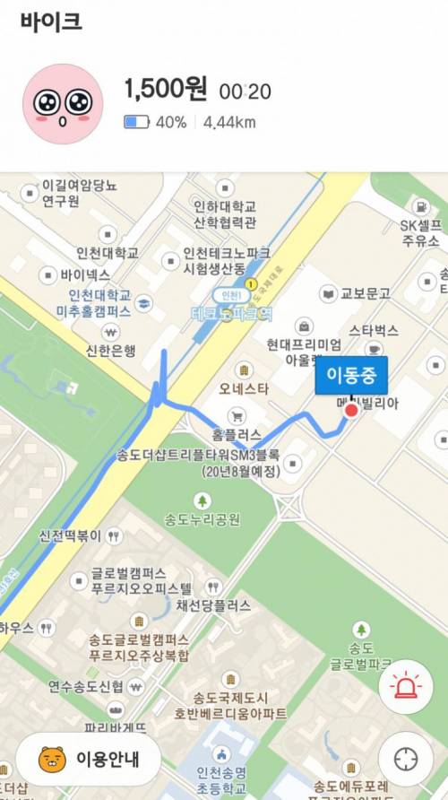 카카오 근황.jpg