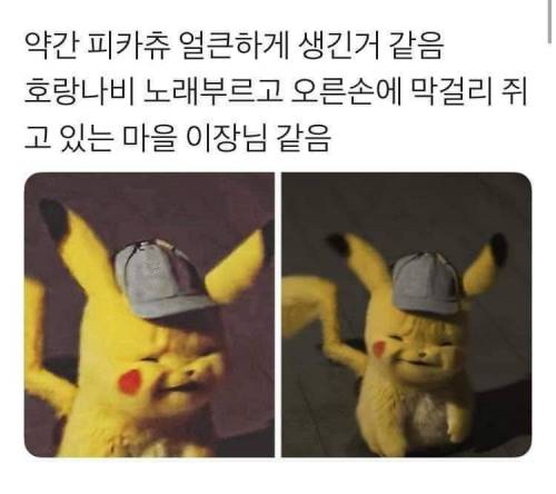 약간 피카츄 얼큰하게 생긴거같음
