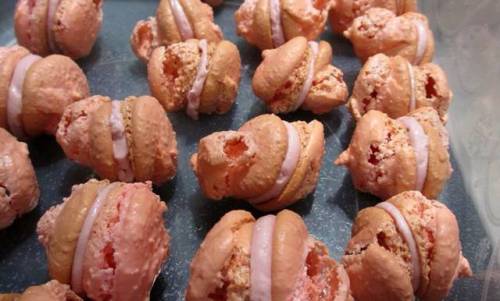 망한 마카롱 대회