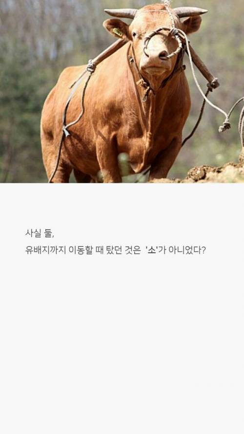 [스압] 교과서엔 절대 안나올 우리나라 역사 상식 하나