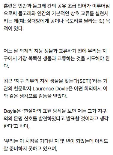 돌고래가 인간에게 전한 메세지.jpg