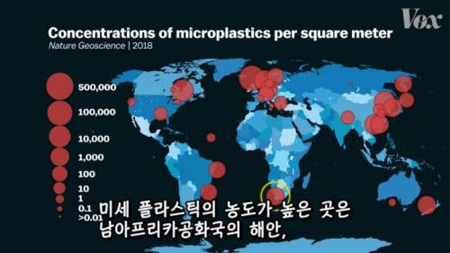 [스압] 해산물에서 플라스틱이 발견되는 이유.jpg