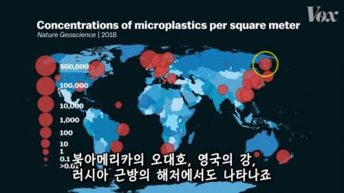 [스압] 해산물에서 플라스틱이 발견되는 이유.jpg