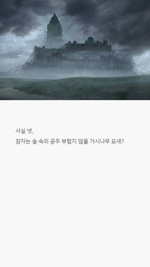 [스압] 교과서엔 절대 안나올 우리나라 역사 상식 하나