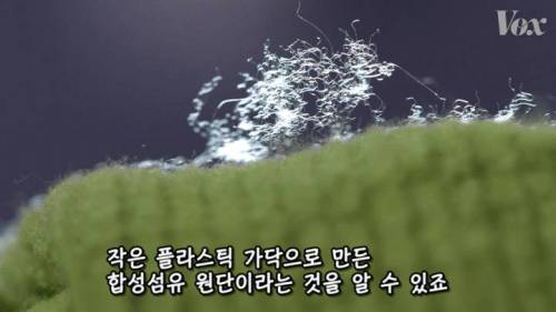 [스압] 해산물에서 플라스틱이 발견되는 이유.jpg