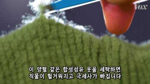 [스압] 해산물에서 플라스틱이 발견되는 이유.jpg