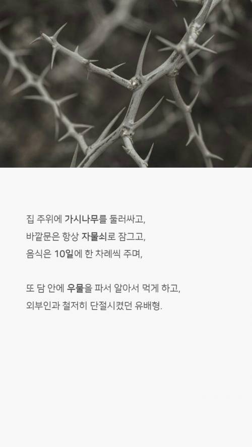 [스압] 교과서엔 절대 안나올 우리나라 역사 상식 하나