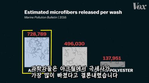 [스압] 해산물에서 플라스틱이 발견되는 이유.jpg