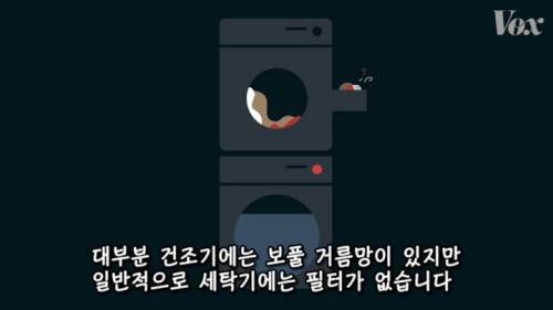 [스압] 해산물에서 플라스틱이 발견되는 이유.jpg