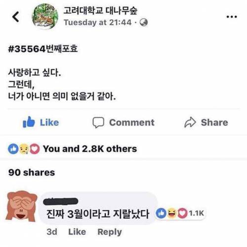 봄이 온 고려대학교 대나무숲.jpg