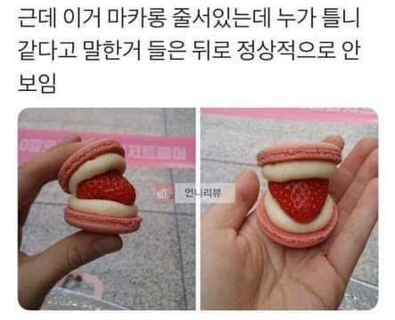 딸기맛 마카롱.jpg