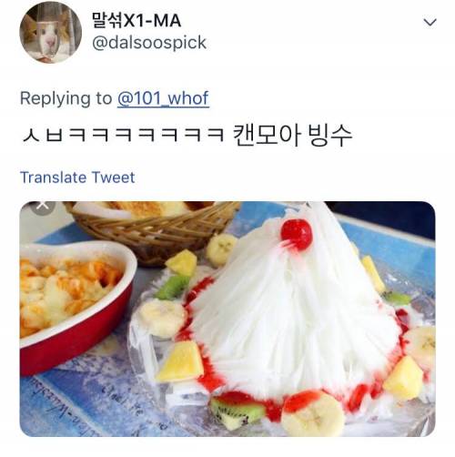 친구들이 우리 집 고양이더러 눈꽃빙수래 ㅠ