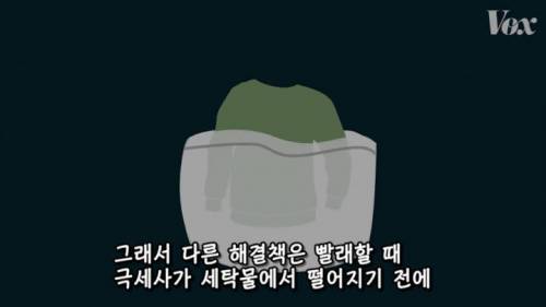 [스압] 해산물에서 플라스틱이 발견되는 이유.jpg