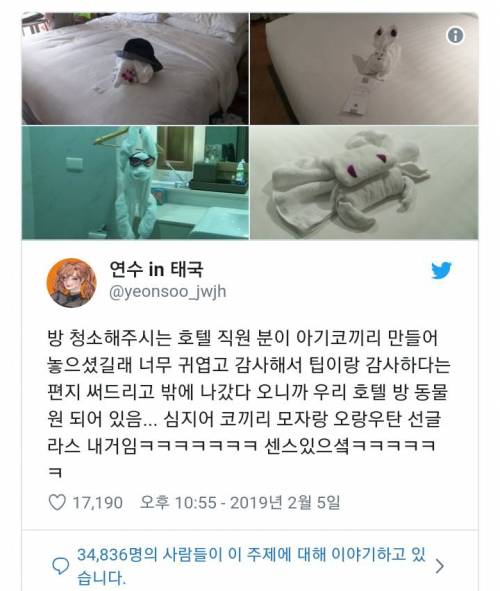 방 청소해주시는 호텔 직원 분이 아기코끼리 만들어놓으셨길래.jpg
